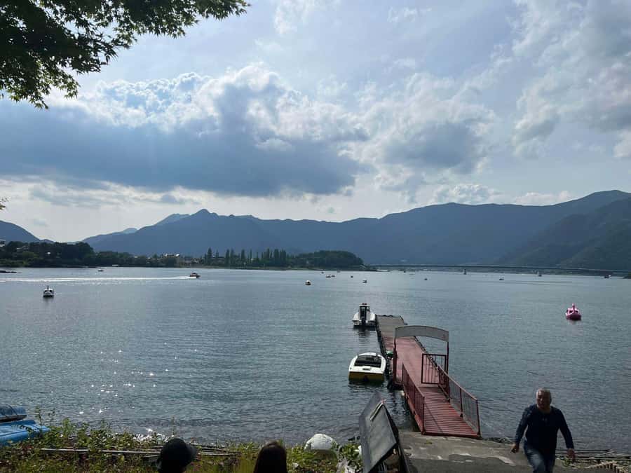 Mount Fuji & Hakone Private Tour with Cherry Blossoms - Owakudani and Hakone Togendai