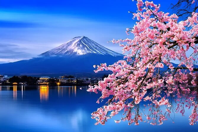 Mount Fuji & Lake Kawaguchiko Private Tour: Beyond the Ordinary - A private road to Mount Fuji from Tokyo