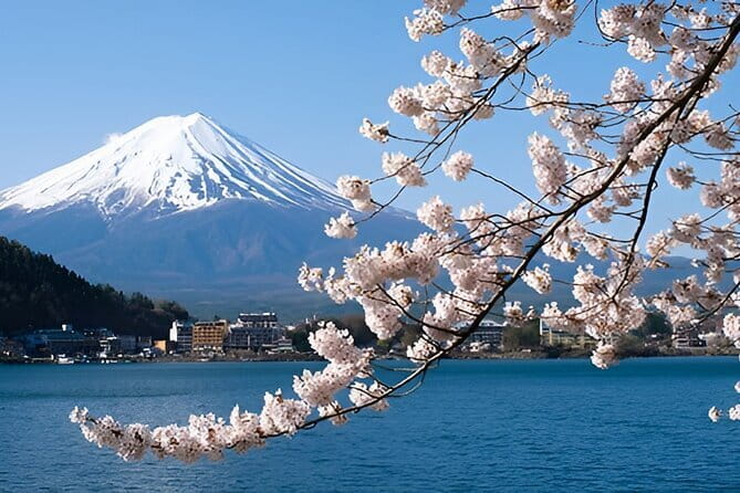 Mount Fuji & Lake Kawaguchiko Private Tour: Beyond the Ordinary - Mount Fuji 5th Station at 2,400 meters