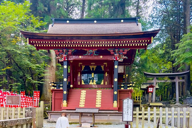 Mt. Fuji, Cherry Blossom & Shiba Sakura Pvt. Day Tour - Lake Kawaguchiko: Boats, Cable Cars, and Lunch