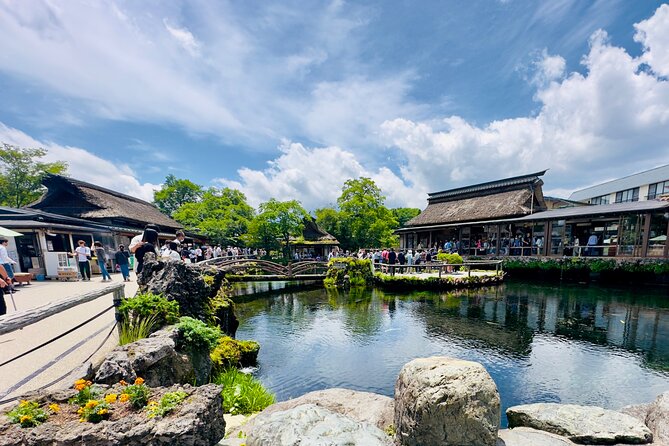 Mt. Fuji, Cherry Blossom & Shiba Sakura Pvt. Day Tour - Oishi Park and the Best Flower Season