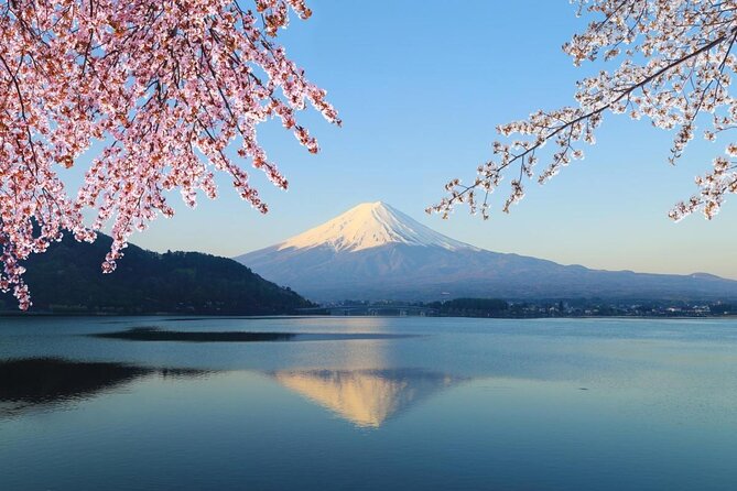 Mt. Fuji Day Trip from Tokyo with English Speaking Driver Guide - Key points at a glance