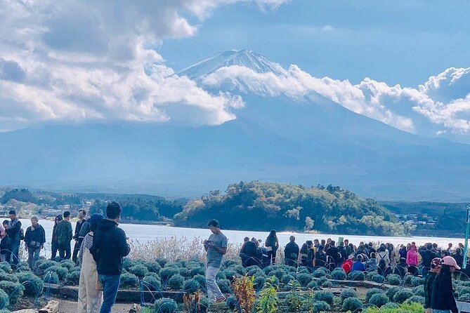 Mt. Fuji Day Trip from Tokyo with English Speaking Driver Guide - A private road to Japan’s most famous mountain