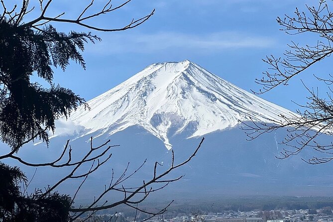 Mt. Fuji Day Trip from Tokyo with English Speaking Driver Guide - The Sengen Shrine brings a quieter cultural pause