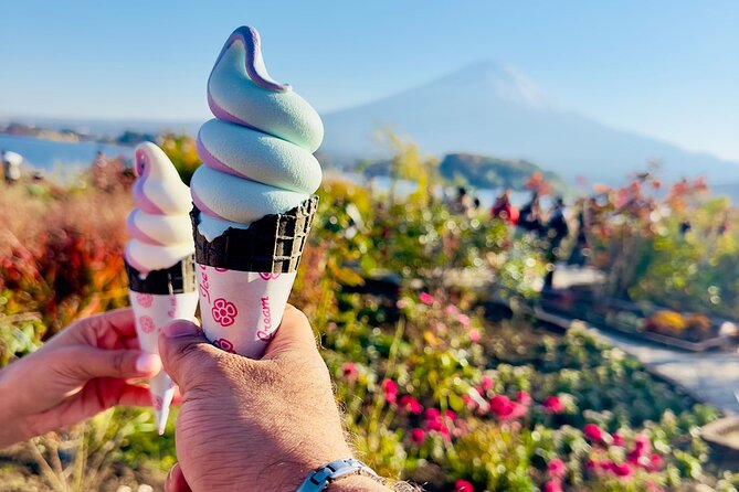 Mt. Fuji & Hakone Cherry Blossom private One Day Tour - Mt. Fuji Subaru Line 5th Station at 2,300 meters