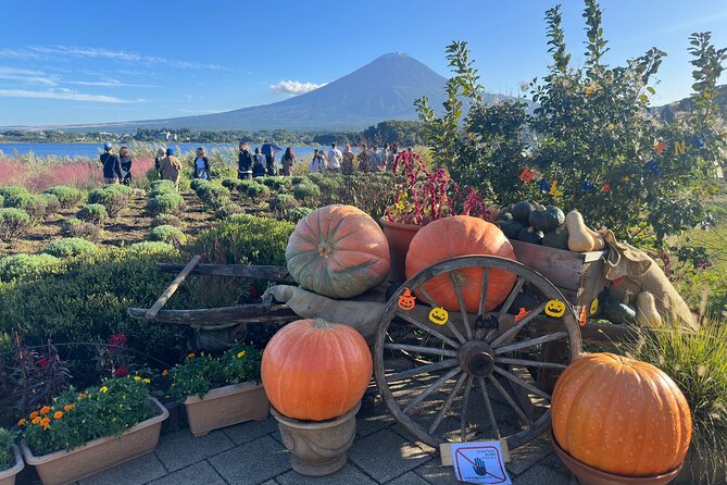 Mt. Fuji & Hakone Cherry Blossom private One Day Tour - Gotemba Premium Outlets for the final stop