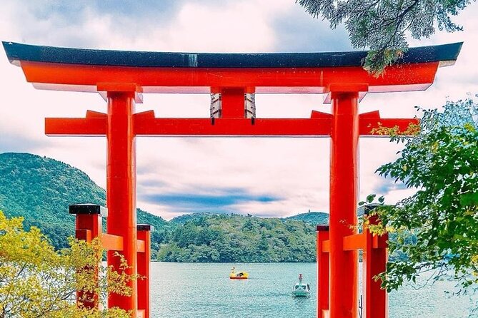 Mt. Fuji & Hakone Cherry Blossom private One Day Tour - The guide question: private tour or private driver?