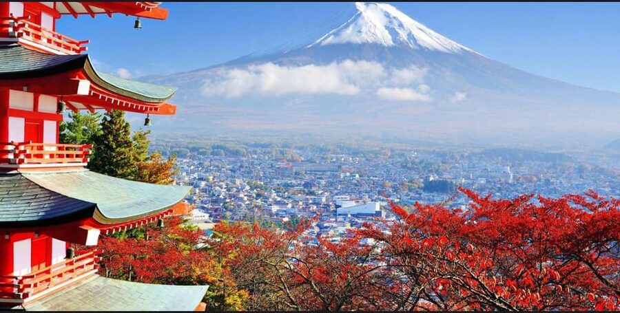 Mt.FUji private Full Day Trip with English Driver - What the $483 private tour really buys you