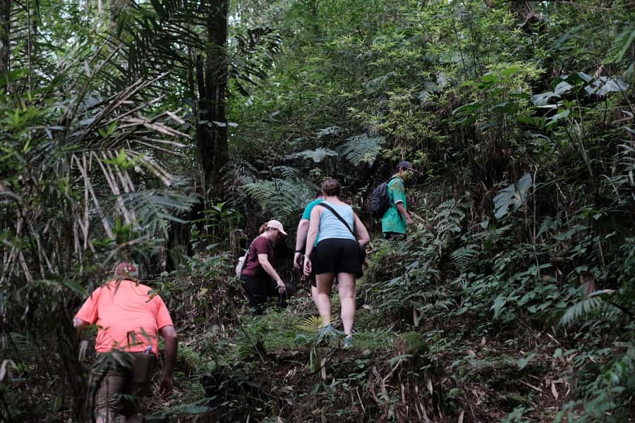 Mt. Merapi Majesty: Soft Trek and Botanic Village Tour - Key points to know