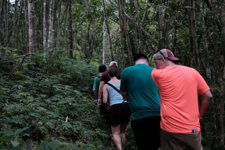 Mt. Merapi Majesty: Soft Trek and Botanic Village Tour - Leaving Yogyakarta for Mount Merapi