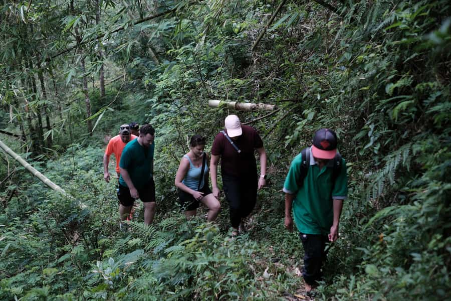 Mt. Merapi Majesty: Soft Trek and Botanic Village Tour - The Mount Merapi view comes with a weather warning