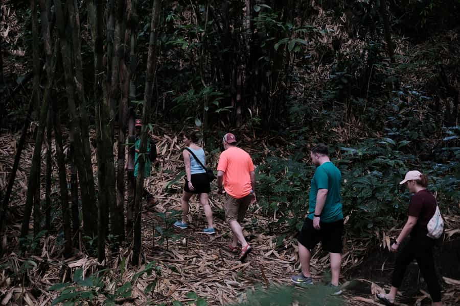 Mt. Merapi Majesty: Soft Trek and Botanic Village Tour - Practical details before you book