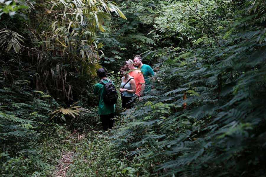 Mt. Merapi Majesty: Soft Trek and Botanic Village Tour - Should you book the Mount Merapi village tour?