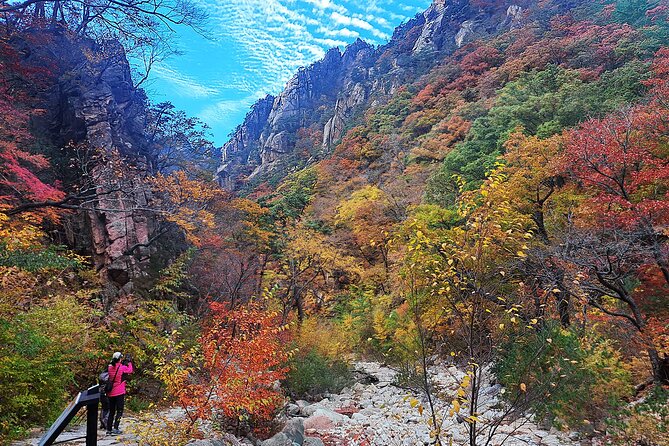 Mt. Seorak+Nami Island+Garden of Morning Calm Day Trip from Seoul - Why this Seoul day trip works