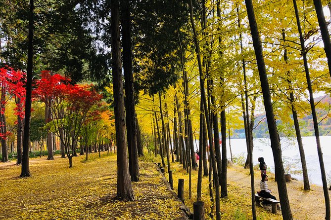 Mt. Seorak+Nami Island+Garden of Morning Calm Day Trip from Seoul - Autumn at Jujeongol Valley