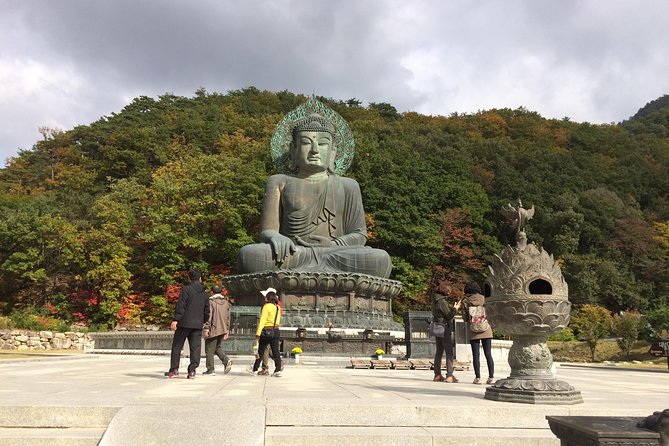 Mt. Seorak+Nami Island+Garden of Morning Calm Day Trip from Seoul - Nami Island by ferry