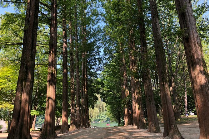 Mt. Seorak+Nami Island+Garden of Morning Calm Day Trip from Seoul - The Garden of Morning Calm