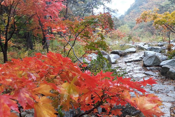 Mt. Seorak+Nami Island+Garden of Morning Calm Day Trip from Seoul - The guide can make or break the schedule