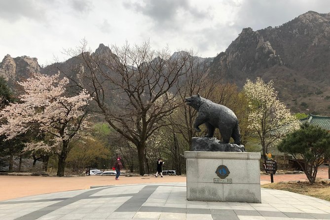 Mt. Seorak+Nami Island+Garden of Morning Calm Day Trip from Seoul - Food, optional costs, and what to pack