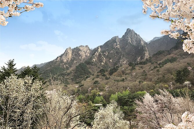 Mt. Seorak+Nami Island+Garden of Morning Calm Day Trip from Seoul - Mt. Seorak and Shinheungsa Temple