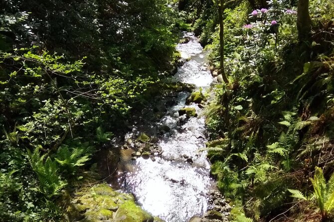 Mtirala National Park & Botanical Garden / Tour From Batumi - The 30-minute transfer to Mtsvane Kontskhi