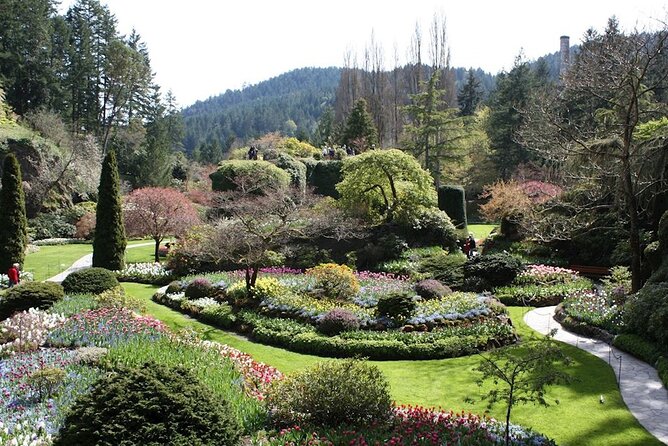 Mtirala National Park & Botanical Garden / Tour From Batumi - What the $69 price really covers