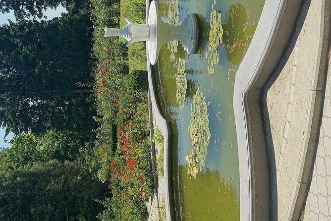 Mtirala National Park & Botanical Garden / Tour From Batumi - The 50-minute drive to Mtirala National Park
