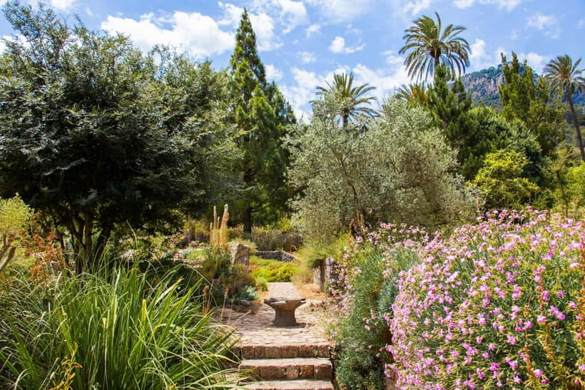 MUCBO | Sóller Botanical Garden - Balearic Museum of Natural Sciences - Key points to know before you go