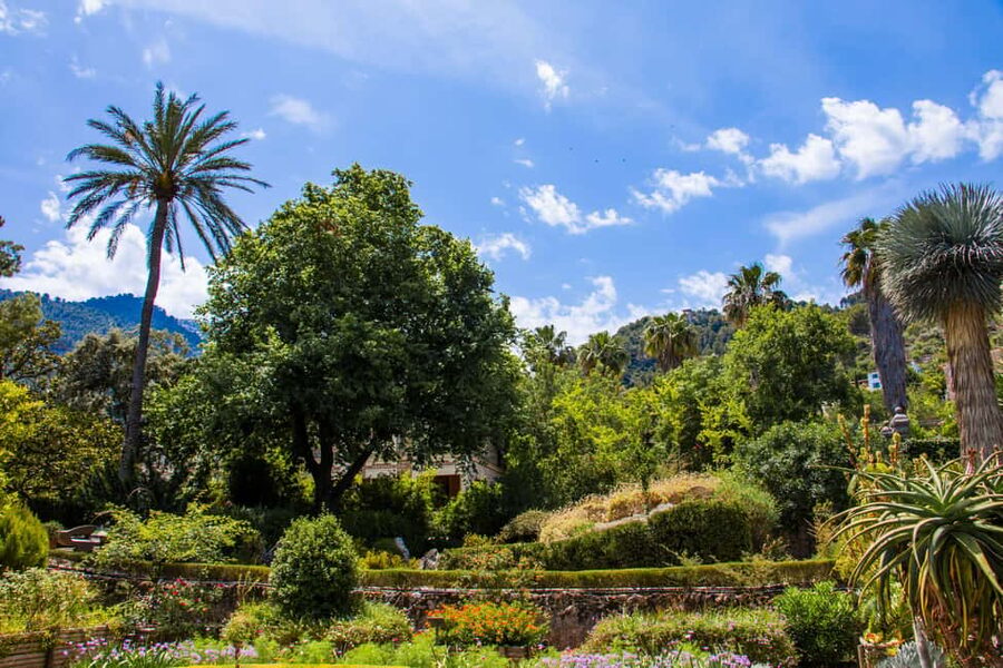 MUCBO | Sóller Botanical Garden - Balearic Museum of Natural Sciences - Simple ways to make the visit better
