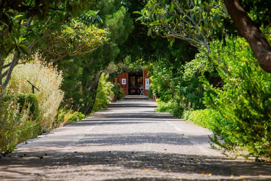 MUCBO | Sóller Botanical Garden - Balearic Museum of Natural Sciences - What the MUCBO experience actually offers