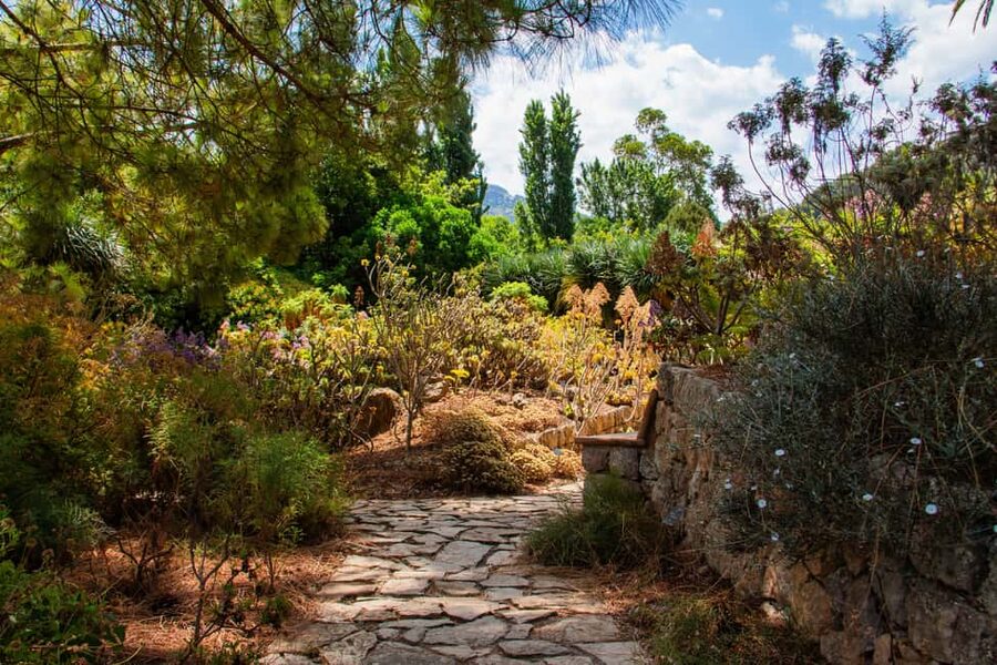 MUCBO | Sóller Botanical Garden - Balearic Museum of Natural Sciences - Geology and paleontology inside the museum