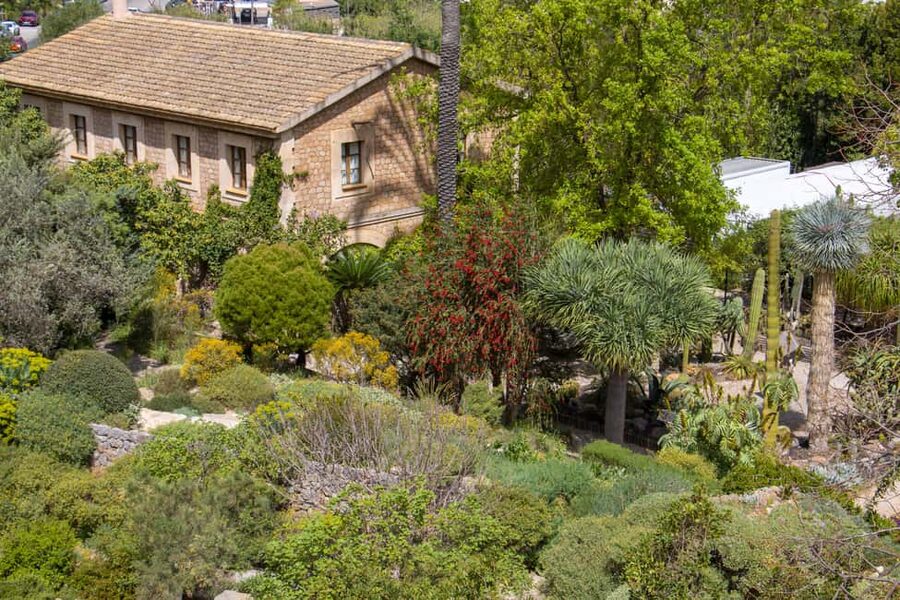 MUCBO | Sóller Botanical Garden - Balearic Museum of Natural Sciences - Is $10 a fair price?