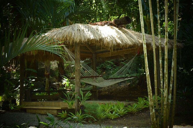 Mud Pools, Gardens, Markets, Temple & Shopping-Nadi Tour half day - A quick way to see several sides of Nadi