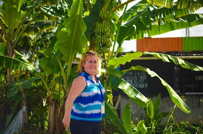 Mudbaths, Waterfall & Botanical Gardens Tour - All Inclusive - The value of $143 per person