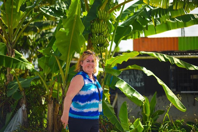 Mudbaths, Waterfall & Botanical Gardens Tour - All Inclusive - Who should book this private outing