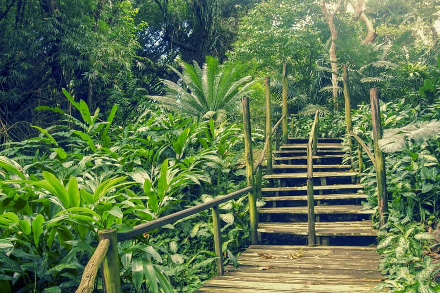 Nadi: Garden Village Hot Spring & Temple Highlights Tour - Sri Siva Subramaniya Temple, Nadi’s colorful opening stop