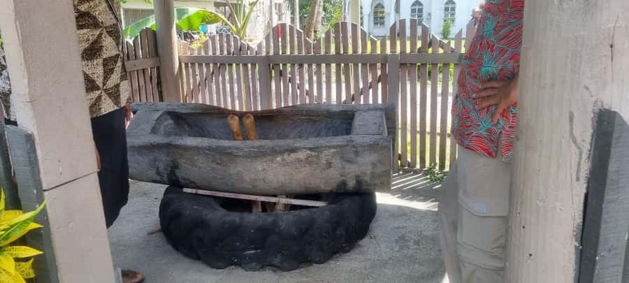 Nadi: Garden Village Hot Spring & Temple Highlights Tour - Sabeto Hot Springs and Mud Pool, the day’s best finale