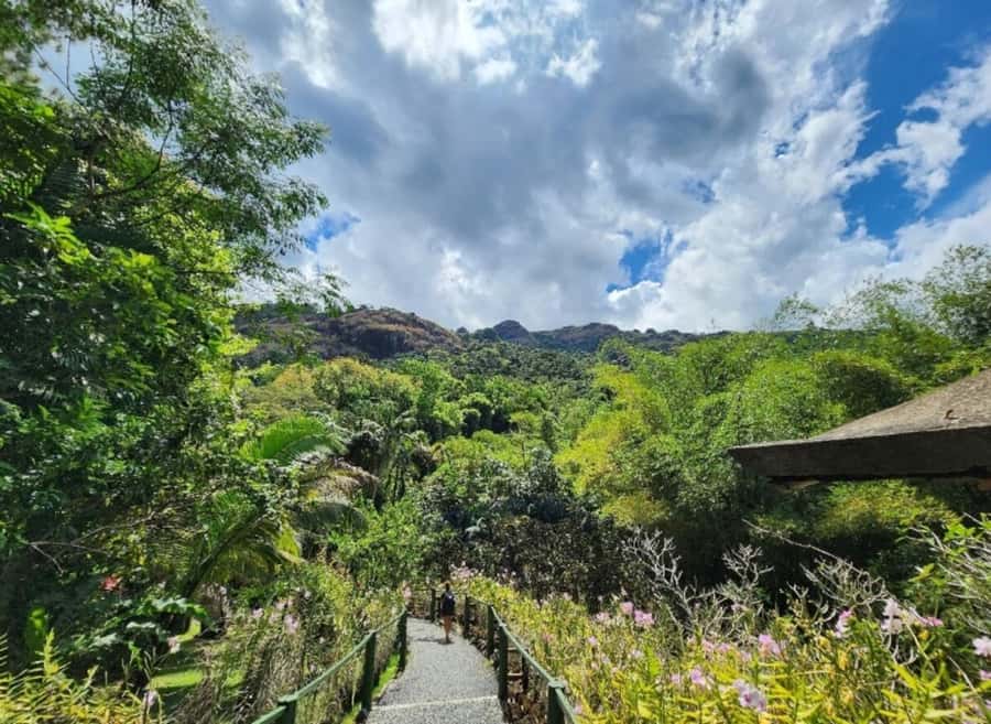 Nadi: Private Tour with Temple, Garden, Markets & Mud Pools - Transport, Guide Style, and Included Costs