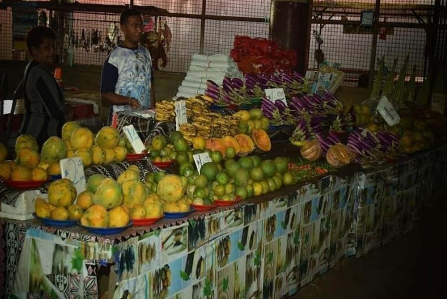 Nadi: Private Tour with Temple, Garden, Markets & Mud Pools - Is $115 Per Person Good Value?