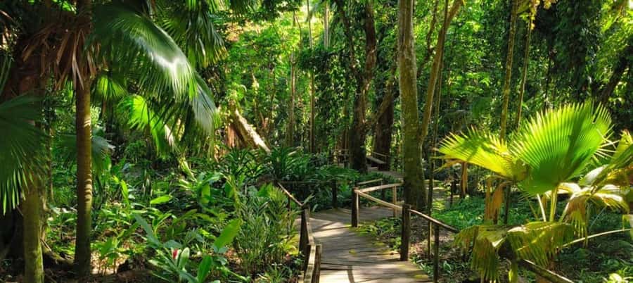 NADI-SABETO: Exquisite Orchid Garden with Hotspring Mudpool - Key points to know before you book