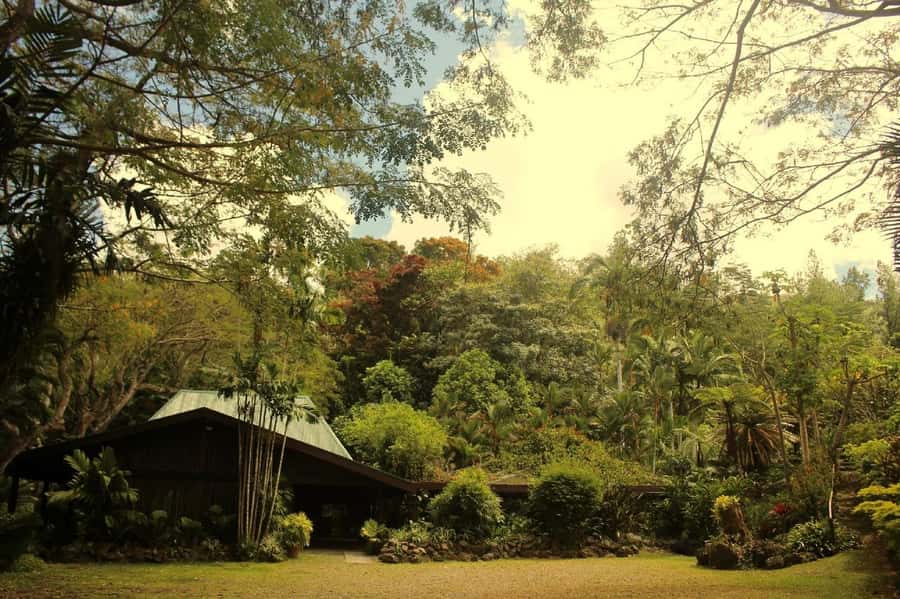 NADI-SABETO: Exquisite Orchid Garden with Hotspring Mudpool - Is $59 a fair price?