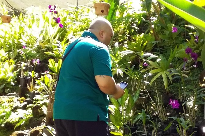 Nadi Sightseeing Including Viseisei Lookout, Village Tour, Garden & Temple Tour - Walking through the Garden of the Sleeping Giant