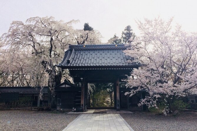 Nagano Spring: 1-Day Cherry Blossoms & Snow Monkeys Guided Tour - Meeting at Nagano Station at 9:35 am