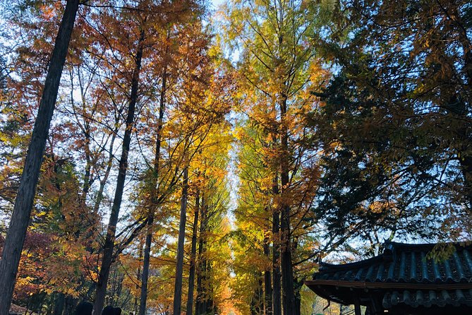 Nami+Alpaca+Garden of Morning Calm (+Rail Bike Option) - Why this day trip works outside Seoul