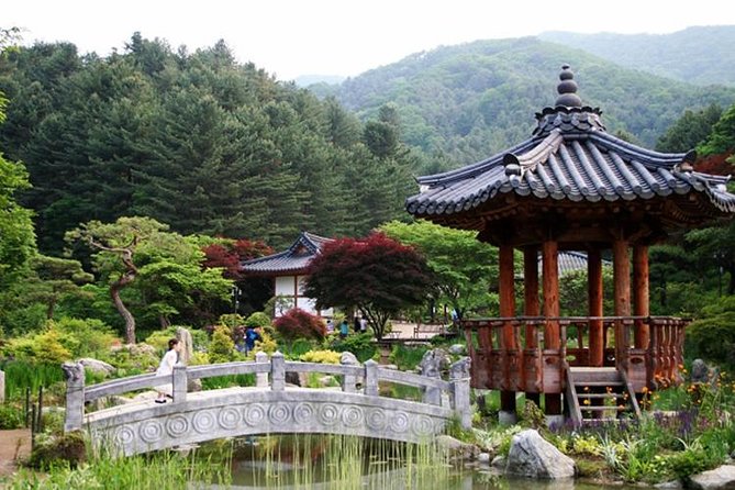 Nami Island, Cable Car, Garden of Morning Calm Panoramic Tour - The Garden of Morning Calm in one focused hour