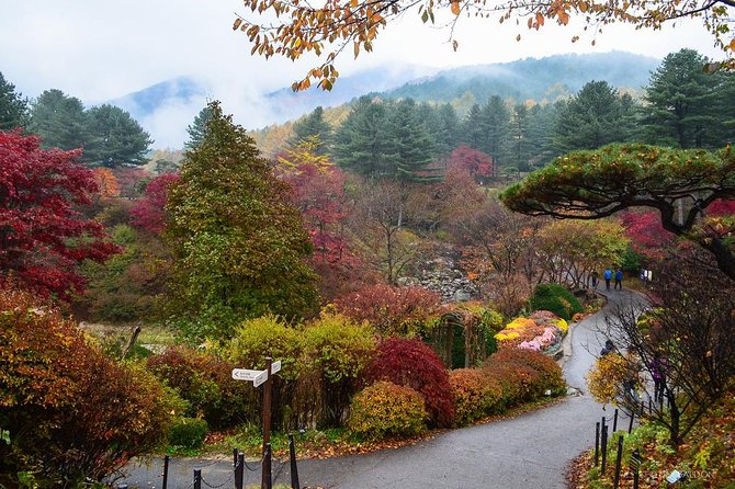 Nami Island from Seoul: Petit France and Garden of Morning Calm - Nami Island: the main event in 2 hours and 30 minutes