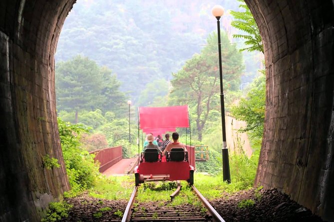 Nami Island & Garden of Morning Calm & Gangchon Railbike Tour - Three countryside attractions without the transport puzzle
