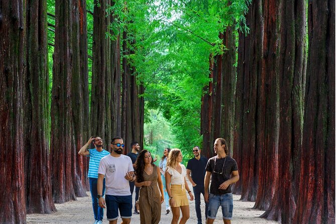 Nami Island & Garden of Morning Calm & Gangchon Railbike Tour - Nami Island: pretty paths, famous scenes, and serious crowds