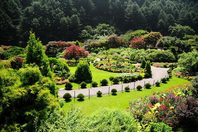 Nami Island & Garden of Morning Calm & Gangchon Railbike Tour - Lunch: convenient, but not part of the ticket