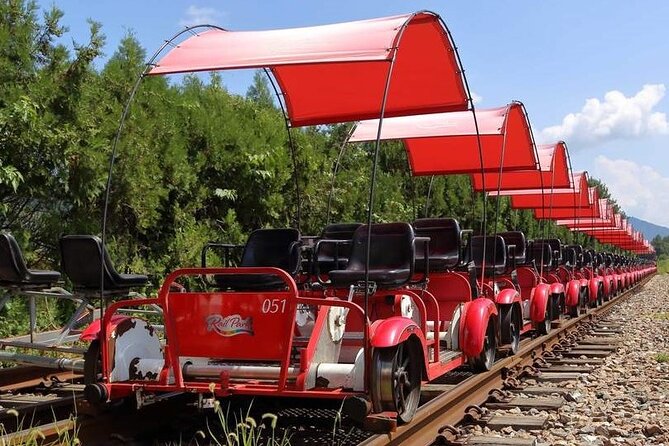 Nami Island & Garden of Morning Calm & Gangchon Railbike Tour - Who will get the most from this tour